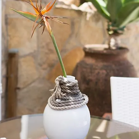 Casa Bolacha * コラレス